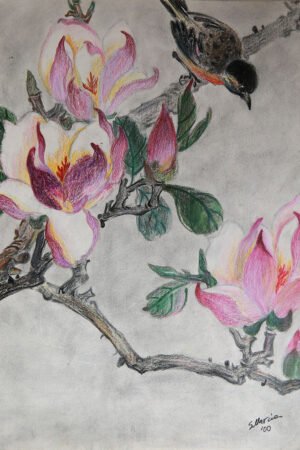 Magnolia