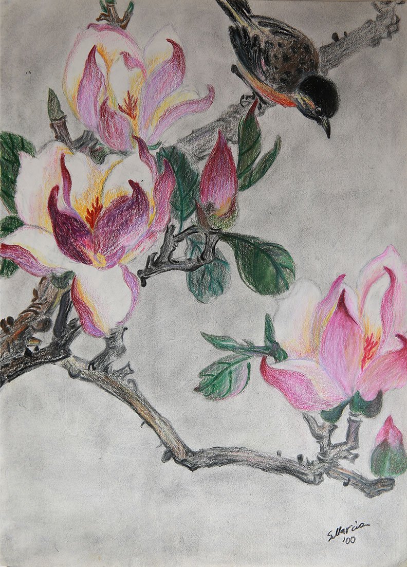 Magnolia